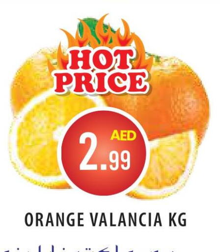 Orange  in سنابل بني ياس in الإمارات العربية المتحدة , الامارات - الشارقة / عجمان