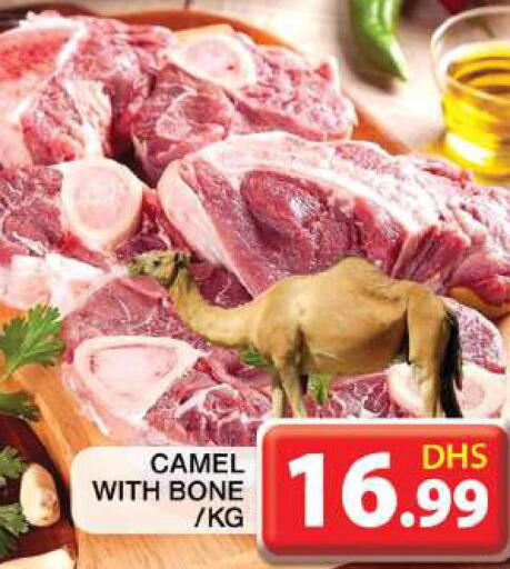 Camel meat  in Grand Hyper Market in UAE - Dubai