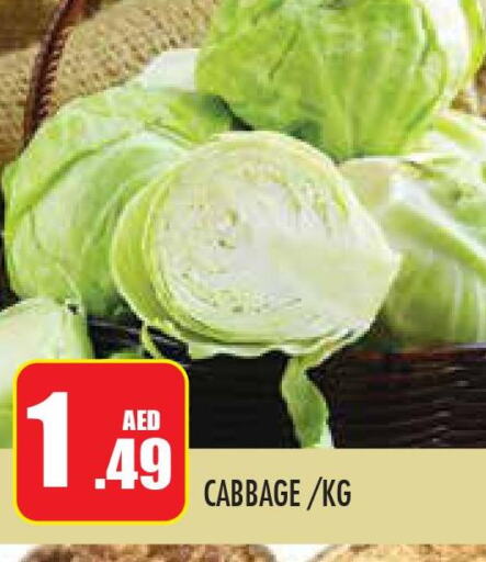  Cabbage  in سنابل بني ياس in الإمارات العربية المتحدة , الامارات - أبو ظبي