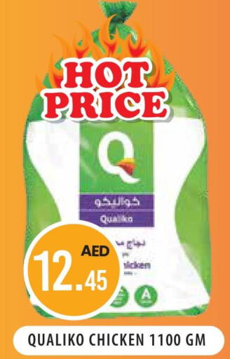 QUALIKO Frozen Whole Chicken  in فريش سبايك سوبرماركت in الإمارات العربية المتحدة , الامارات - دبي