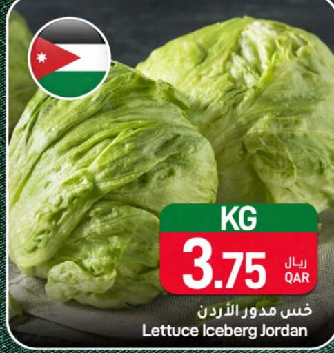  Cabbage  in ســبــار in قطر - الخور