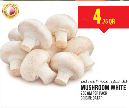  Mushroom  in مونوبريكس in قطر - الشمال