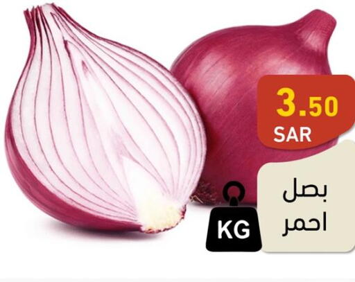  Onion  in أسواق رامز in مملكة العربية السعودية, السعودية, سعودية - حفر الباطن