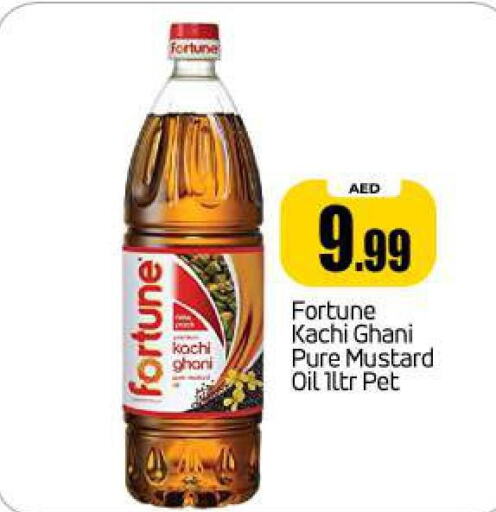 FORTUNE Mustard Oil  in BIGmart in UAE - Abu Dhabi