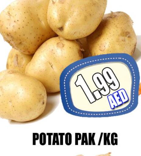  Potato  in GRAND MAJESTIC HYPERMARKET in UAE - Abu Dhabi