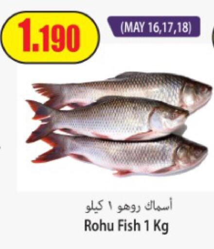  Tuna  in سوق المركزي لو كوست in الكويت - مدينة الكويت