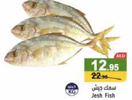  Tuna  in أسواق رامز in الإمارات العربية المتحدة , الامارات - أبو ظبي