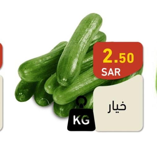  Cucumber  in أسواق رامز in مملكة العربية السعودية, السعودية, سعودية - حفر الباطن