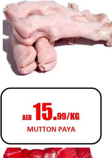  Mutton / Lamb  in جفت داي هايبرماركت in الإمارات العربية المتحدة , الامارات - الشارقة / عجمان