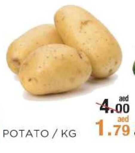  Potato  in ريشيس هايبرماركت in الإمارات العربية المتحدة , الامارات - أبو ظبي