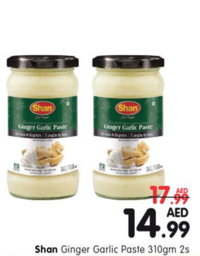 SHAN Garlic Paste  in Al Madina Hypermarket in UAE - Abu Dhabi