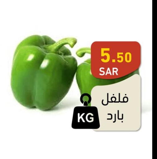  Chilli / Capsicum  in أسواق رامز in مملكة العربية السعودية, السعودية, سعودية - حفر الباطن