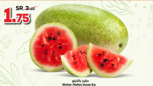  Watermelon  in الدكان in مملكة العربية السعودية, السعودية, سعودية - الطائف