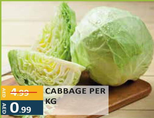  Cabbage  in إنريتش سوبرماركت in الإمارات العربية المتحدة , الامارات - أبو ظبي