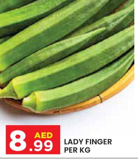  Lady's finger  in Baniyas Spike  in UAE - Al Ain