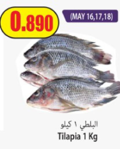  Tuna  in سوق المركزي لو كوست in الكويت - مدينة الكويت