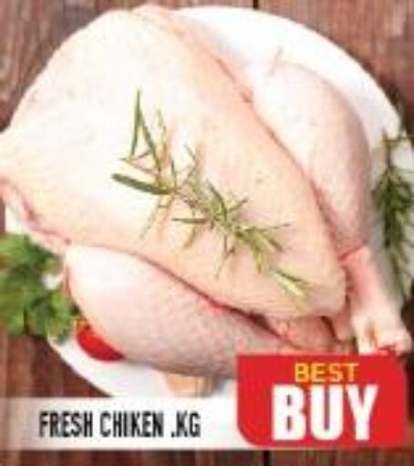  Fresh Chicken  in Baniyas Spike  in UAE - Umm al Quwain
