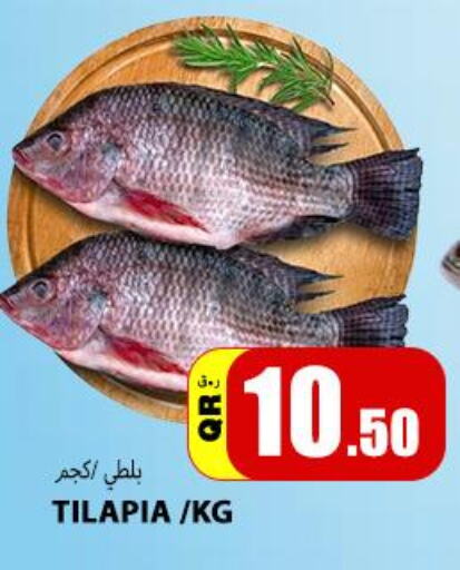  Tuna  in Gourmet Hypermarket in Qatar - Al Rayyan