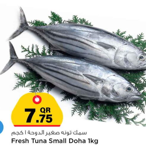  Tuna  in Safari Hypermarket in Qatar - Al Wakra