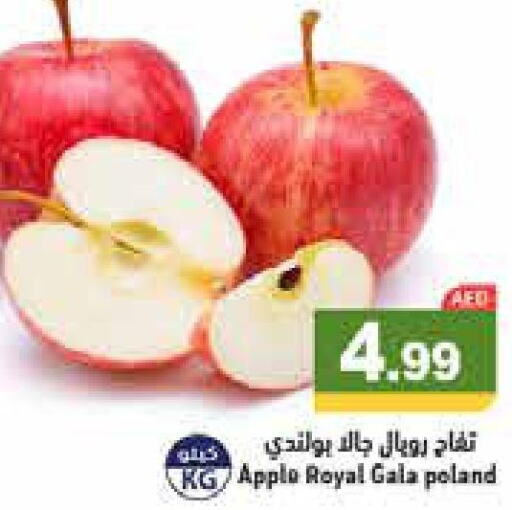  Apples  in أسواق رامز in الإمارات العربية المتحدة , الامارات - دبي