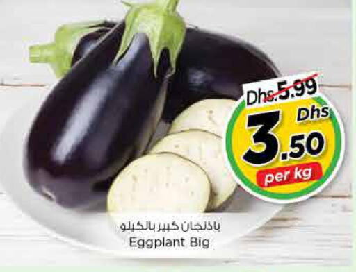  Cabbage  in Nesto Hypermarket in UAE - Fujairah