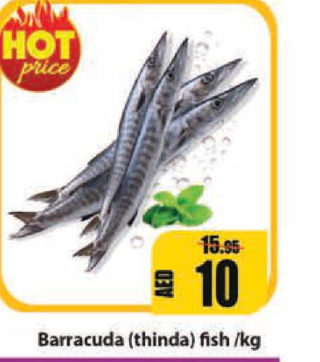  King Fish  in Leptis Hypermarket  in UAE - Ras al Khaimah
