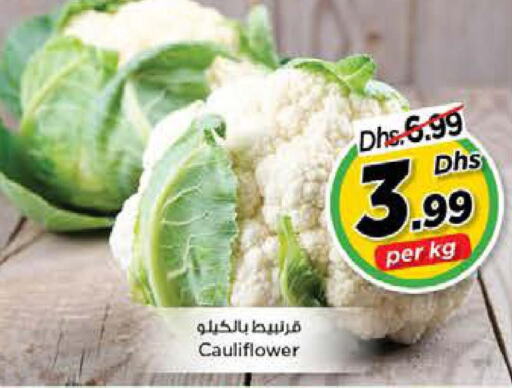  Cauliflower  in نستو هايبرماركت in الإمارات العربية المتحدة , الامارات - الشارقة / عجمان