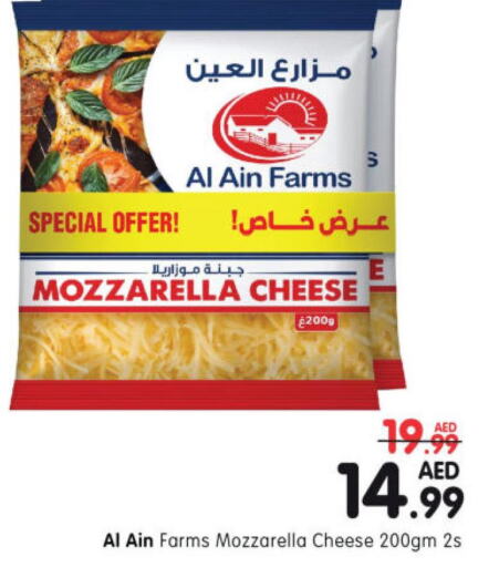 AL AIN Mozzarella  in هايبر ماركت المدينة in الإمارات العربية المتحدة , الامارات - أبو ظبي