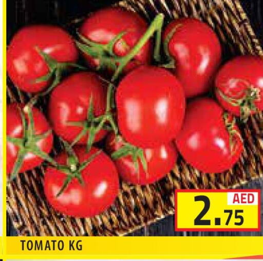  Tomato  in سنابل بني ياس in الإمارات العربية المتحدة , الامارات - أبو ظبي