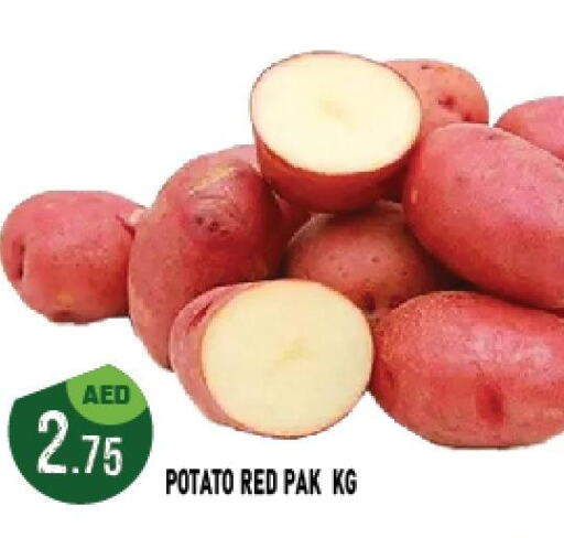  Potato  in Azhar Al Madina Hypermarket in UAE - Abu Dhabi