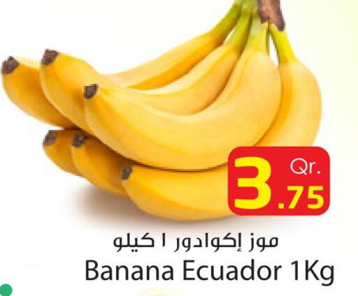  Banana  in Dana Express in Qatar - Al Rayyan