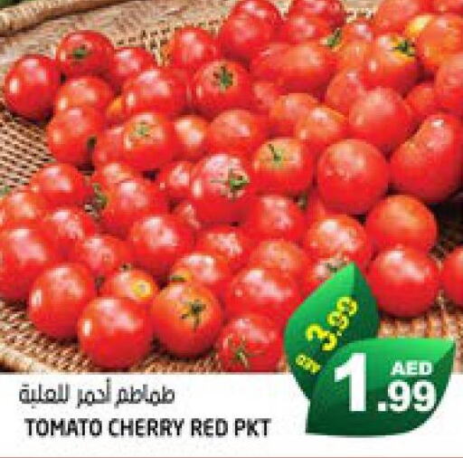  Tomato  in هاشم هايبرماركت in الإمارات العربية المتحدة , الامارات - الشارقة / عجمان