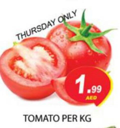  Tomato  in زين مارت سوبرماركت in الإمارات العربية المتحدة , الامارات - رَأْس ٱلْخَيْمَة