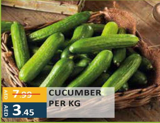  Cucumber  in إنريتش سوبرماركت in الإمارات العربية المتحدة , الامارات - أبو ظبي