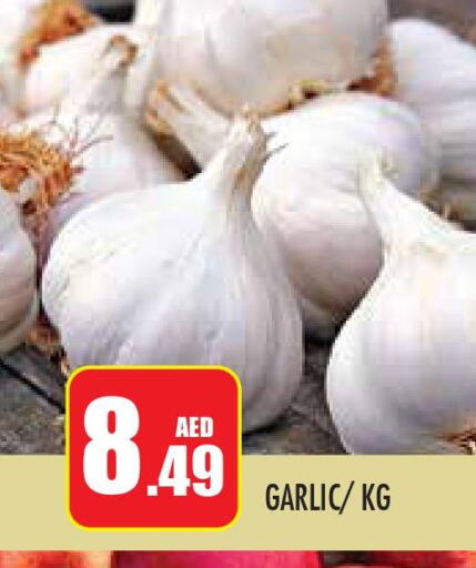  Garlic  in سنابل بني ياس in الإمارات العربية المتحدة , الامارات - أبو ظبي