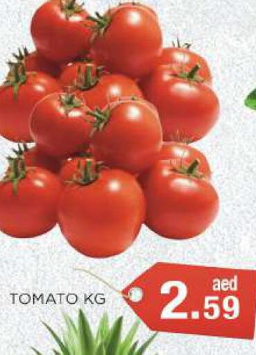  Tomato  in سي. ام. هايبرماركت in الإمارات العربية المتحدة , الامارات - أبو ظبي