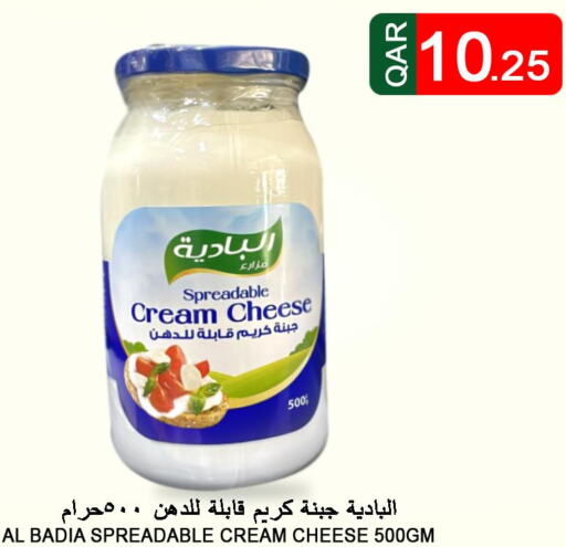  Cream Cheese  in قصر الأغذية هايبرماركت in قطر - الوكرة
