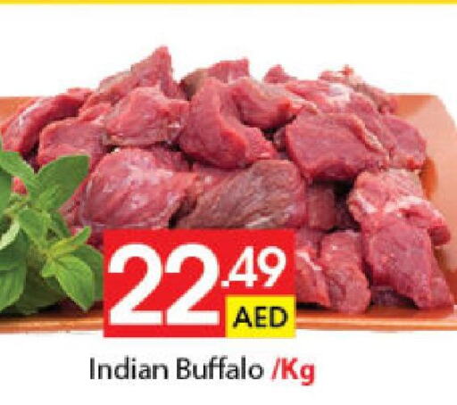  Buffalo  in Al Ain Market in UAE - Sharjah / Ajman