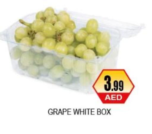  Grapes  in اي ون سوبر ماركت in الإمارات العربية المتحدة , الامارات - أبو ظبي