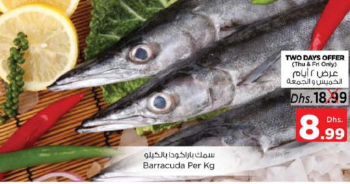  King Fish  in Nesto Hypermarket in UAE - Abu Dhabi