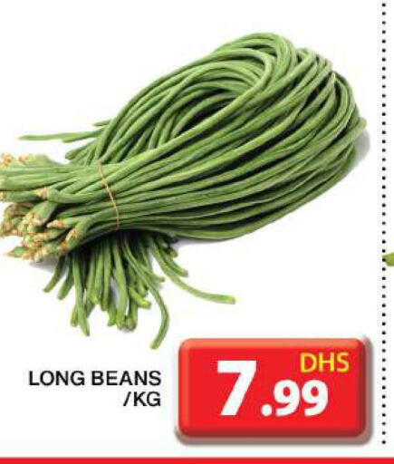  Beans  in Grand Hyper Market in UAE - Dubai