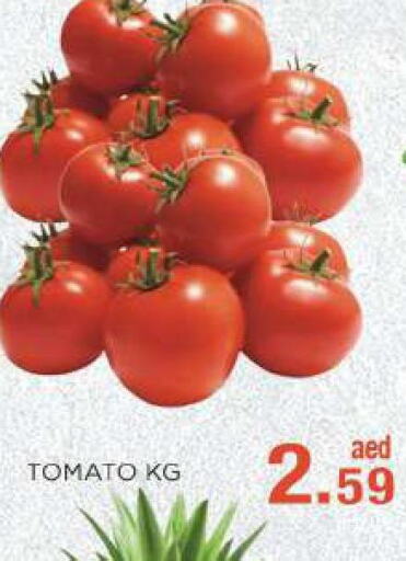  Tomato  in C.M. supermarket in UAE - Abu Dhabi