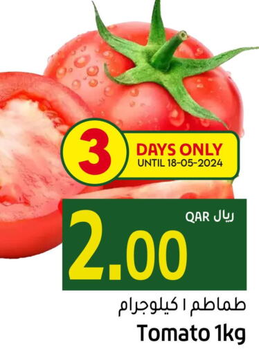  Tomato  in جلف فود سنتر in قطر - الريان