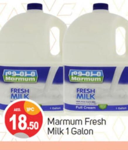 MARMUM Fresh Milk  in TALAL MARKET in UAE - Sharjah / Ajman