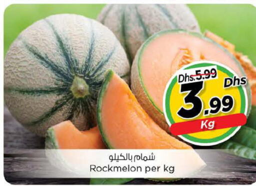  Sweet melon  in Last Chance  in UAE - Fujairah
