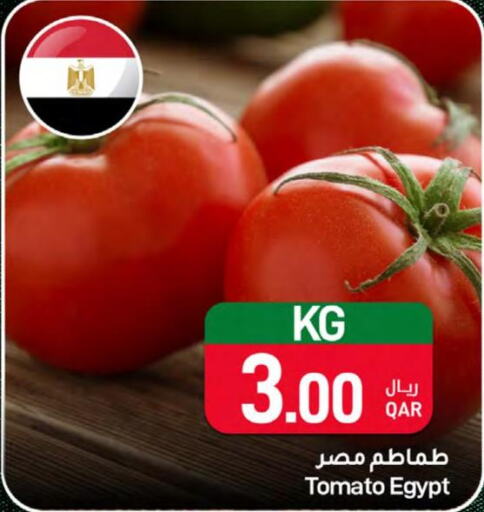  Tomato  in ســبــار in قطر - الريان