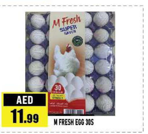 FARM FRESH   in Azhar Al Madina Hypermarket in UAE - Abu Dhabi