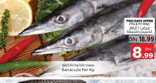  King Fish  in Nesto Hypermarket in UAE - Abu Dhabi