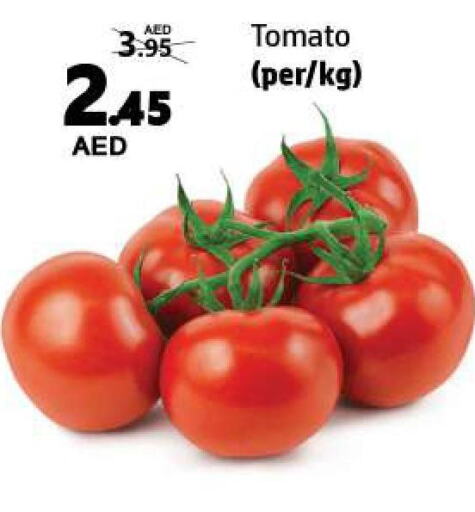  Tomato  in Al Hooth in UAE - Sharjah / Ajman