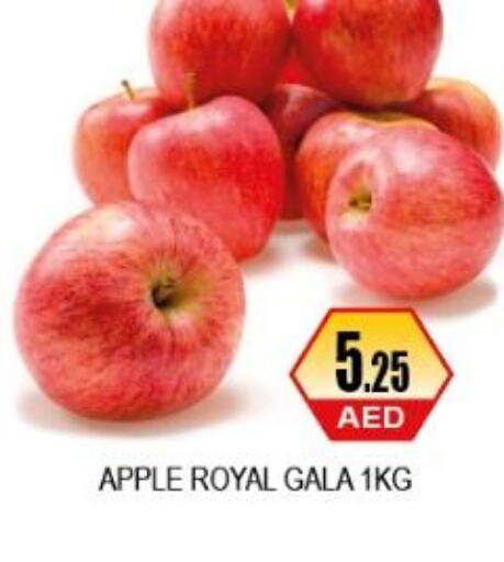  Apples  in اي ون سوبر ماركت in الإمارات العربية المتحدة , الامارات - أبو ظبي